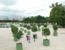 Сад Тюильри (Tuileries Garden)